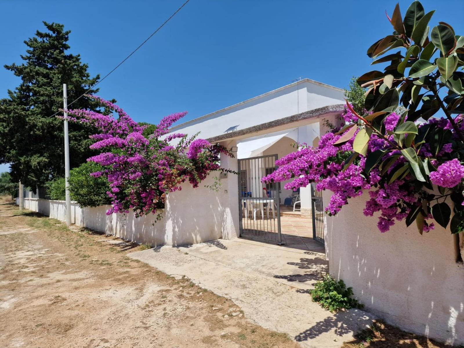 Villa Carmela A San Pietro In Bevagna Kültér fotó