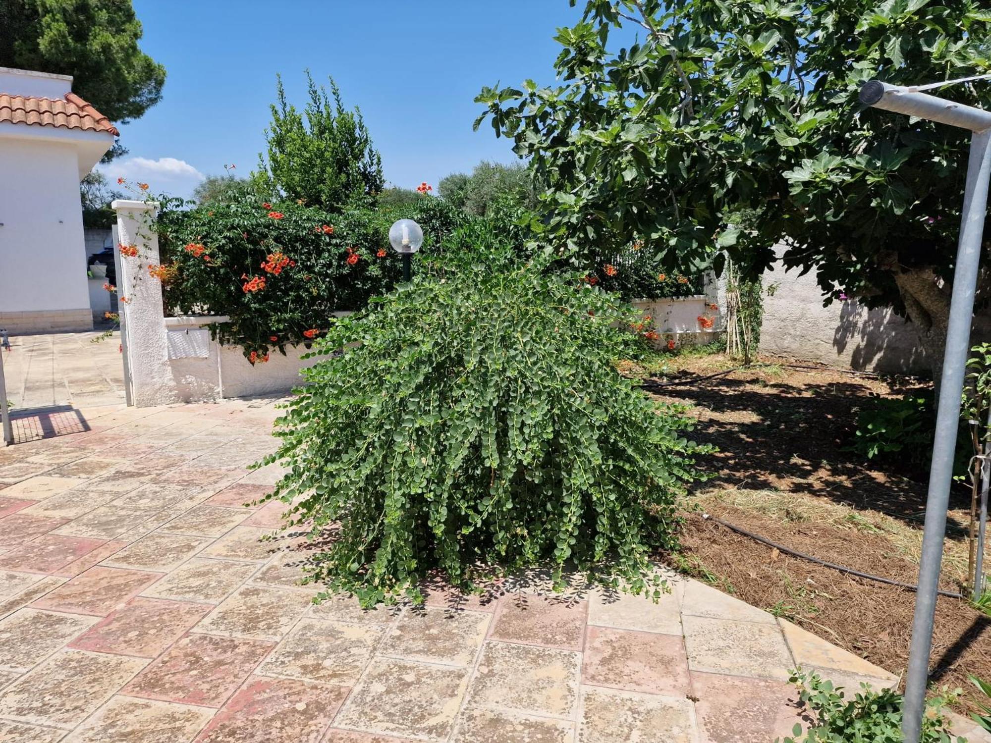 Villa Carmela A San Pietro In Bevagna Kültér fotó