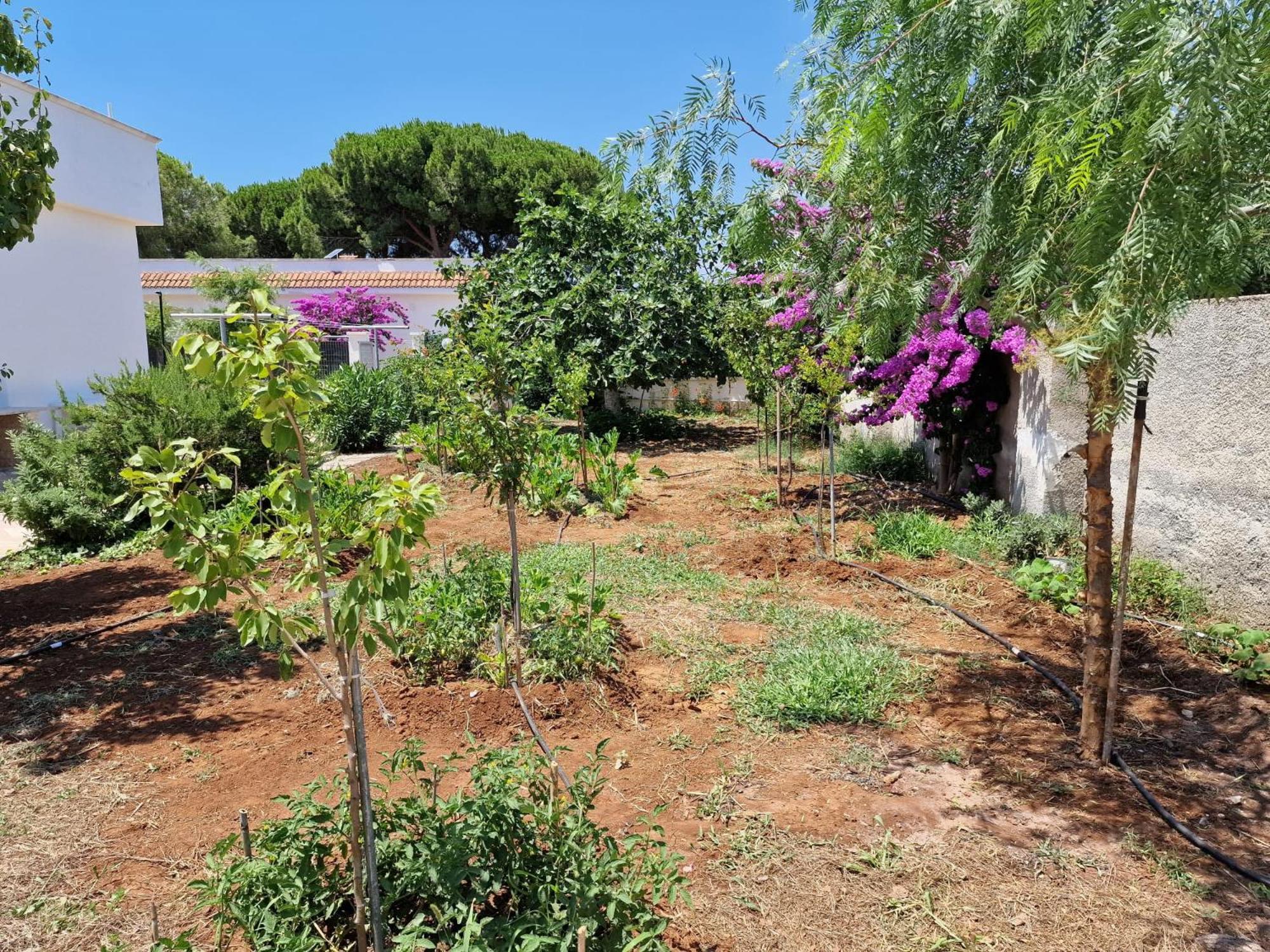 Villa Carmela A San Pietro In Bevagna Kültér fotó